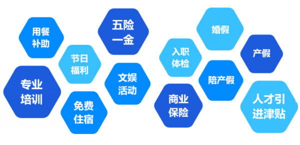 提供全面、系统、专业的培训和广阔的<br>职业发展空间和提升机会